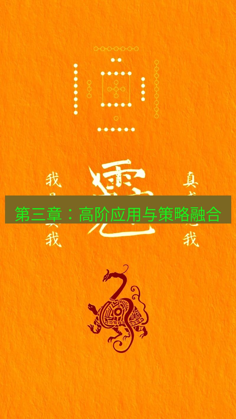 有道翻译桌面端 第三章：高阶应用与策略融合